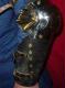Stainless Steel Fluted Gothic (Dragon Wing Fan) Arms